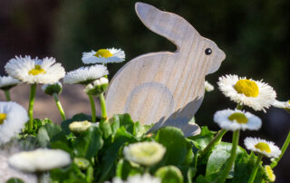 Ein Holzhase steckt in einem Blumentopf!