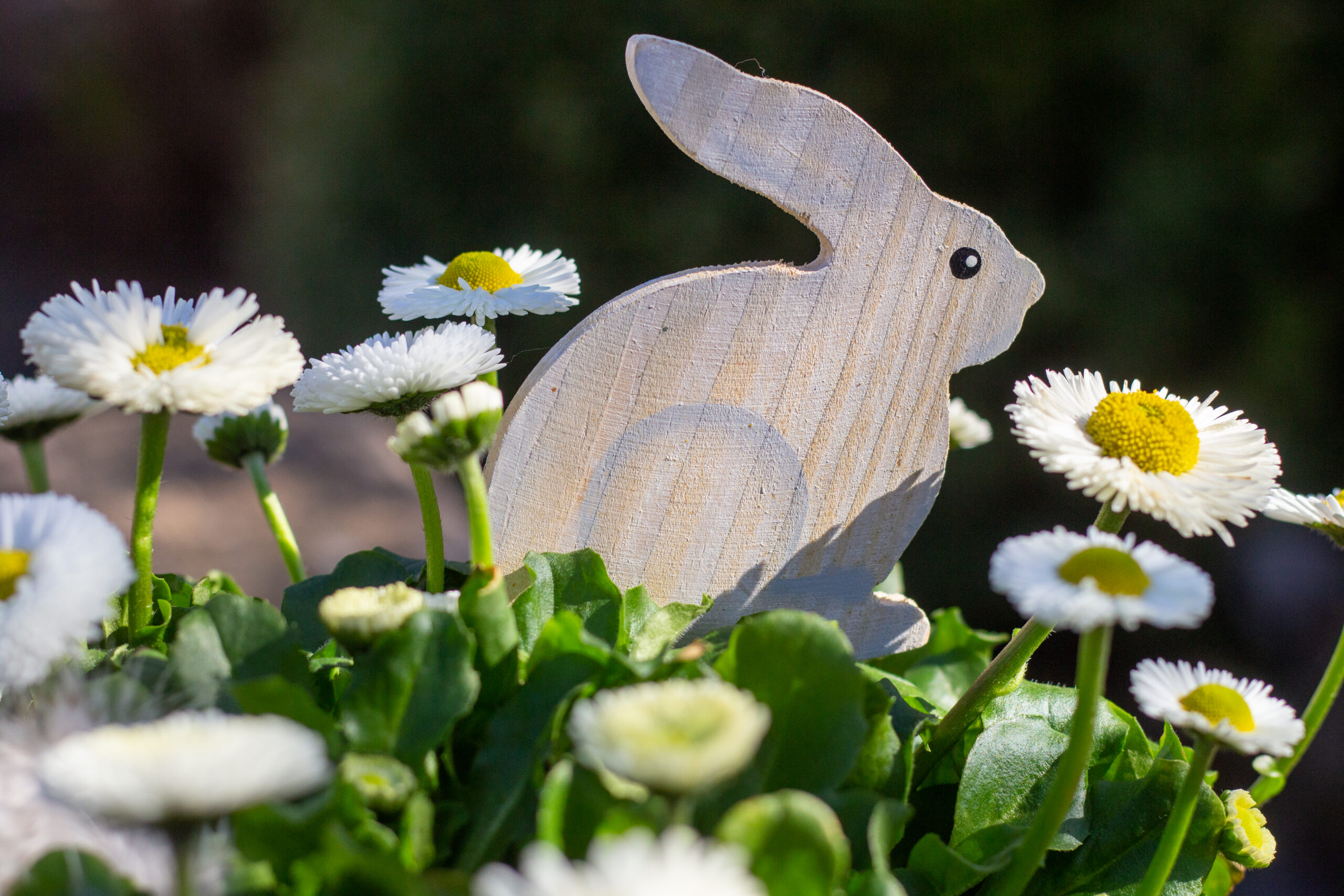 Ein Holzhase steckt in einem Blumentopf!