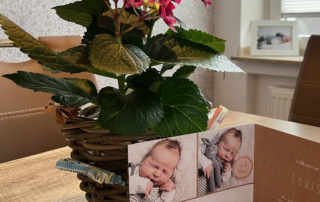 Blumenstock mit Baby-Karte davor.