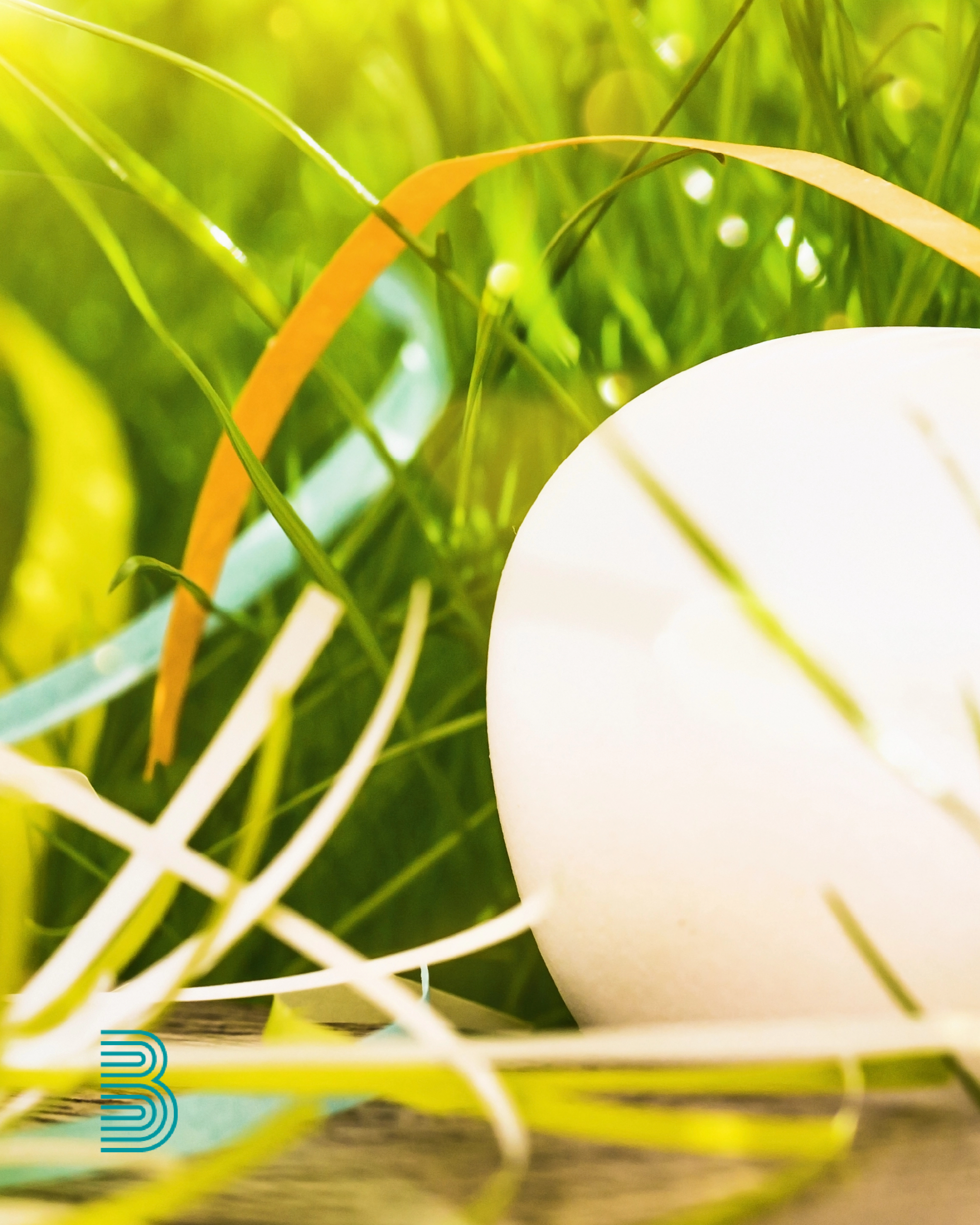 Ein Hühnerei liegt im Gras.