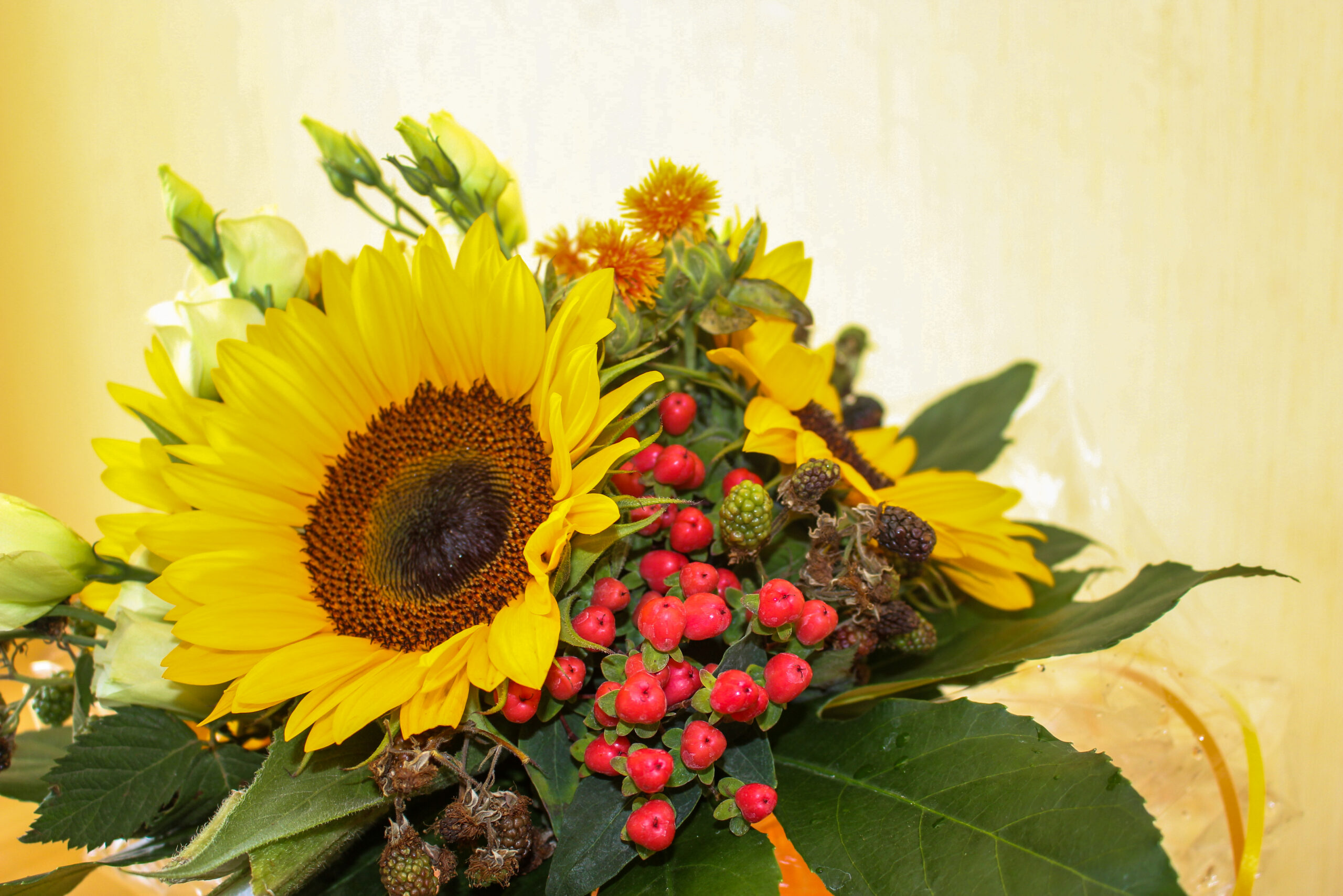 Farbenprächtige Blumen zum 10-jährigen Firmenjubiläum.